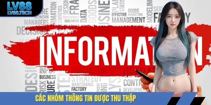 Các nhóm thông tin được thu thập
