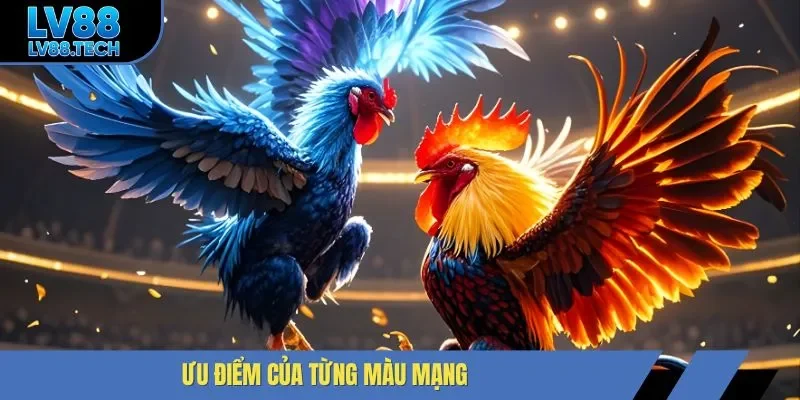 Ưu điểm của từng màu mạng